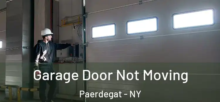  Garage Door Not Moving Paerdegat - NY
