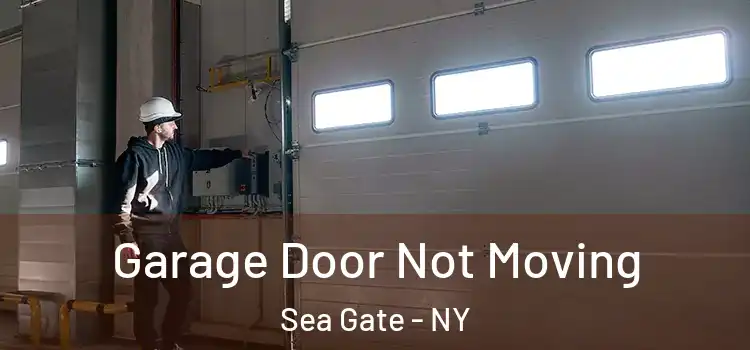  Garage Door Not Moving Sea Gate - NY