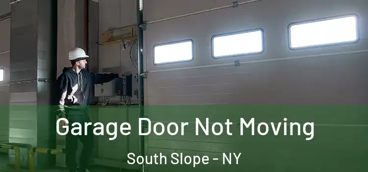 Garage Door Not Moving South Slope - NY