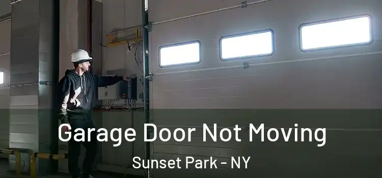  Garage Door Not Moving Sunset Park - NY