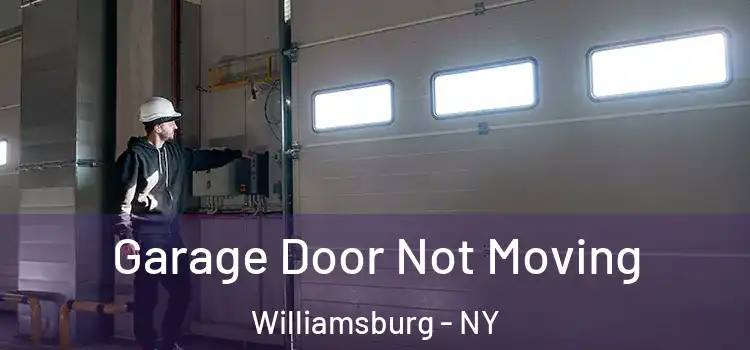  Garage Door Not Moving Williamsburg - NY