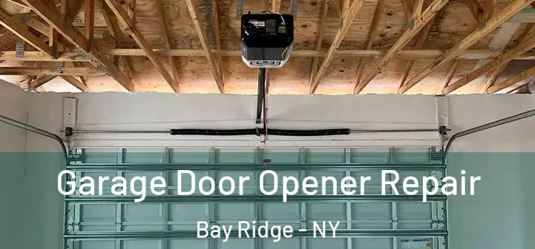  Garage Door Opener Repair Bay Ridge - NY