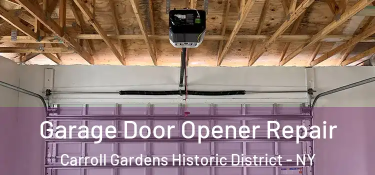  Garage Door Opener Repair Carroll Gardens Historic District - NY