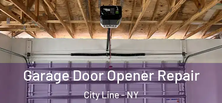  Garage Door Opener Repair City Line - NY