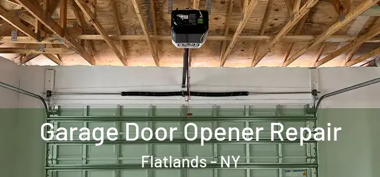  Garage Door Opener Repair Flatlands - NY