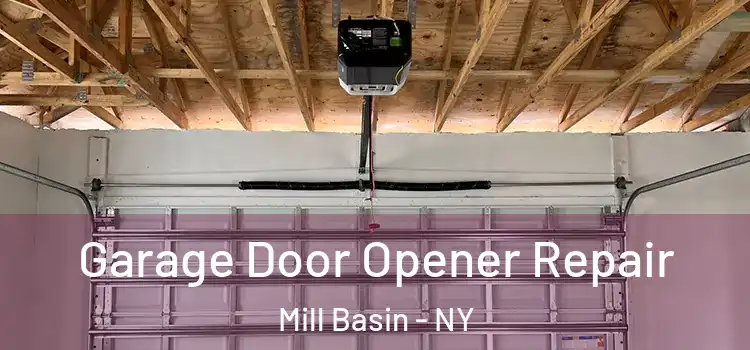  Garage Door Opener Repair Mill Basin - NY