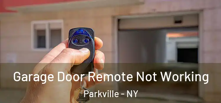  Garage Door Remote Not Working Parkville - NY