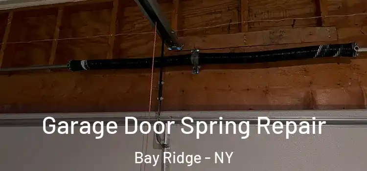  Garage Door Spring Repair Bay Ridge - NY