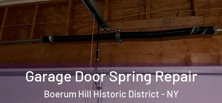  Garage Door Spring Repair Boerum Hill Historic District - NY