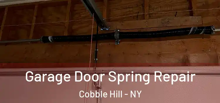  Garage Door Spring Repair Cobble Hill - NY