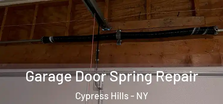  Garage Door Spring Repair Cypress Hills - NY