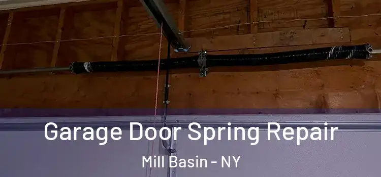  Garage Door Spring Repair Mill Basin - NY