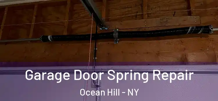  Garage Door Spring Repair Ocean Hill - NY