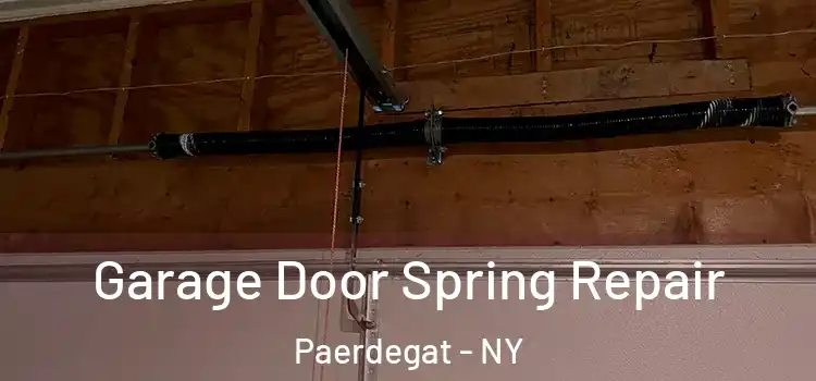  Garage Door Spring Repair Paerdegat - NY