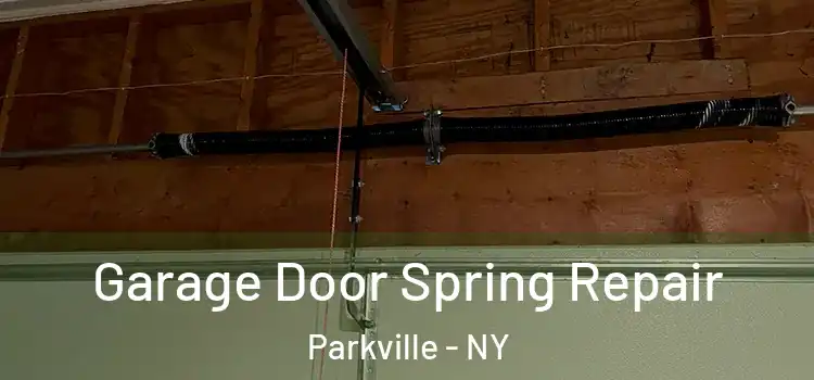  Garage Door Spring Repair Parkville - NY