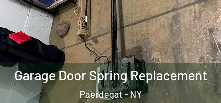  Garage Door Spring Replacement Paerdegat - NY