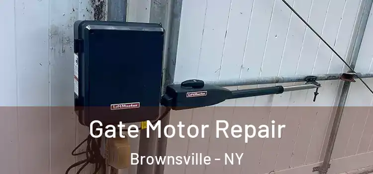Gate Motor Repair Brownsville - NY