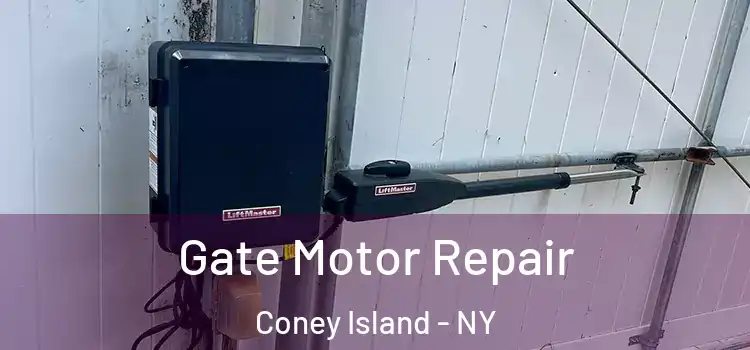 Gate Motor Repair Coney Island - NY