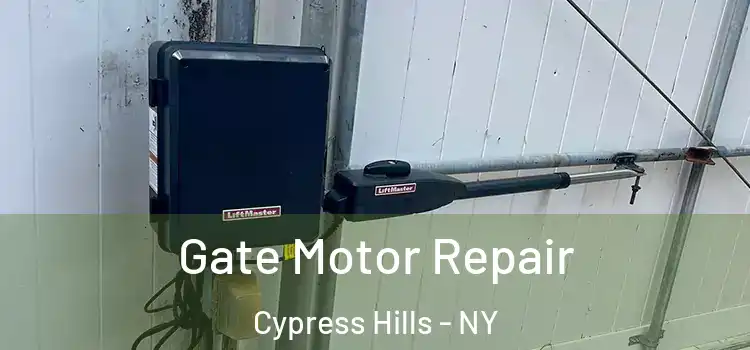 Gate Motor Repair Cypress Hills - NY