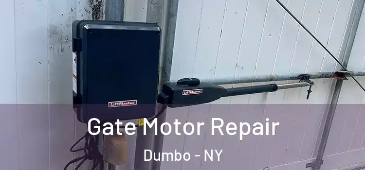  Gate Motor Repair Dumbo - NY