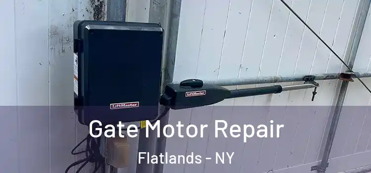  Gate Motor Repair Flatlands - NY