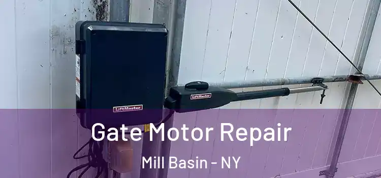 Gate Motor Repair Mill Basin - NY