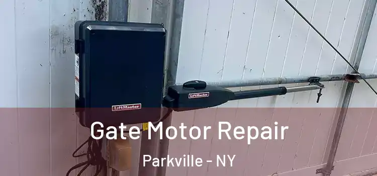 Gate Motor Repair Parkville - NY