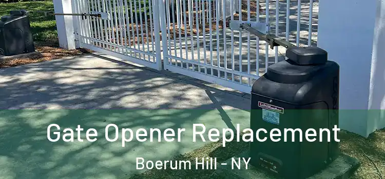 Gate Opener Replacement Boerum Hill - NY