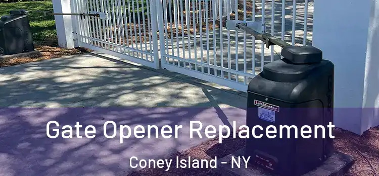 Gate Opener Replacement Coney Island - NY