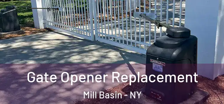 Gate Opener Replacement Mill Basin - NY