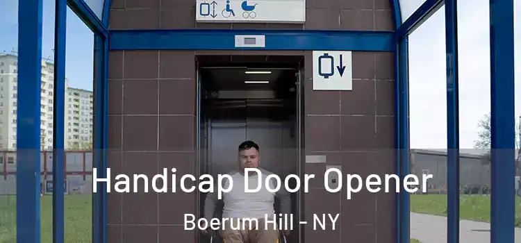 Handicap Door Opener Boerum Hill - NY
