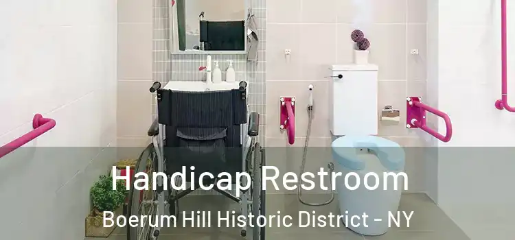 Handicap Restroom Boerum Hill Historic District - NY