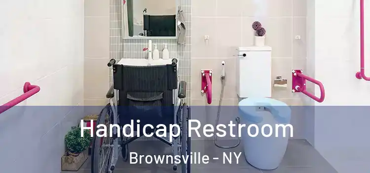 Handicap Restroom Brownsville - NY