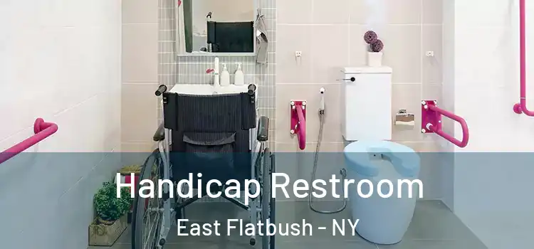 Handicap Restroom East Flatbush - NY