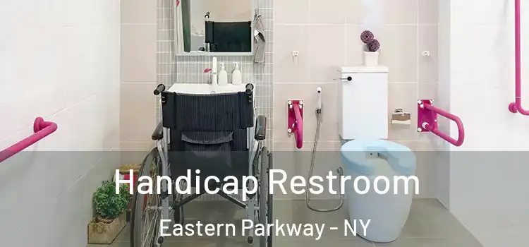 Handicap Restroom Eastern Parkway - NY