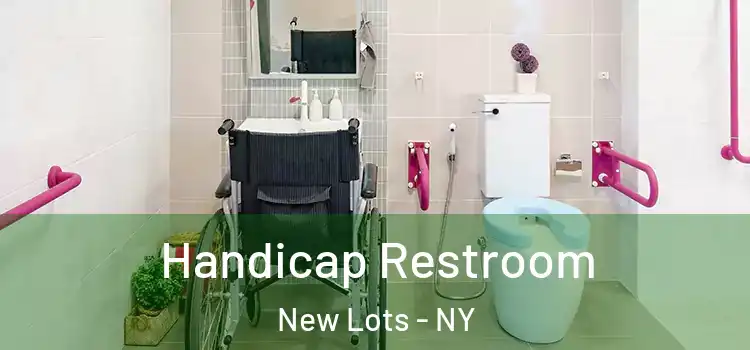 Handicap Restroom New Lots - NY