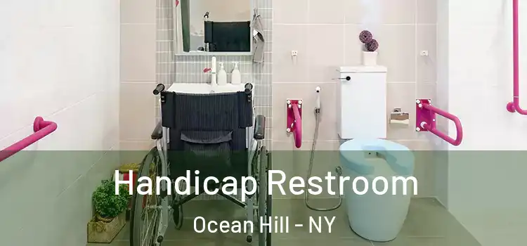 Handicap Restroom Ocean Hill - NY