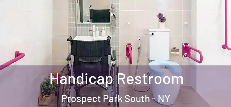 Handicap Restroom Prospect Park South - NY