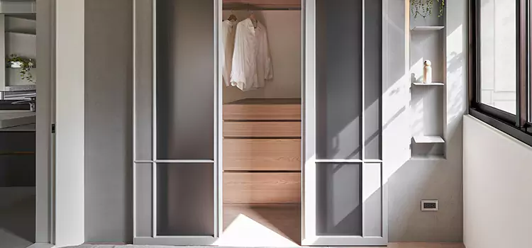 Mirror Sliding Door Replacement Dumbo
