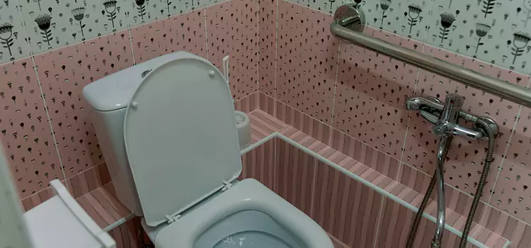 Meeting Diverse Needs With Accessible Restroom Solutions in Gowanus, NY