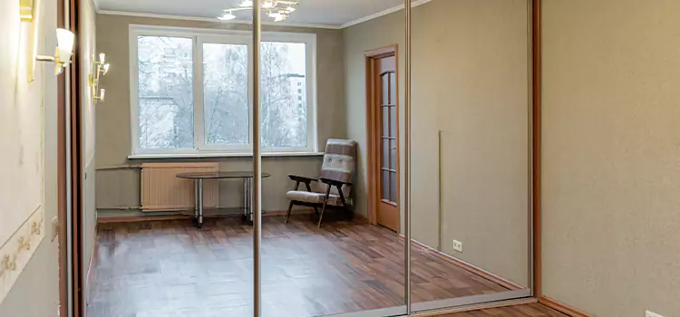 Mirror Closet Door Roller Replacement Dumbo