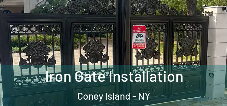 Iron Gate Installation Coney Island - NY