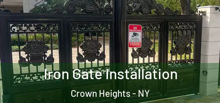 Iron Gate Installation Crown Heights - NY