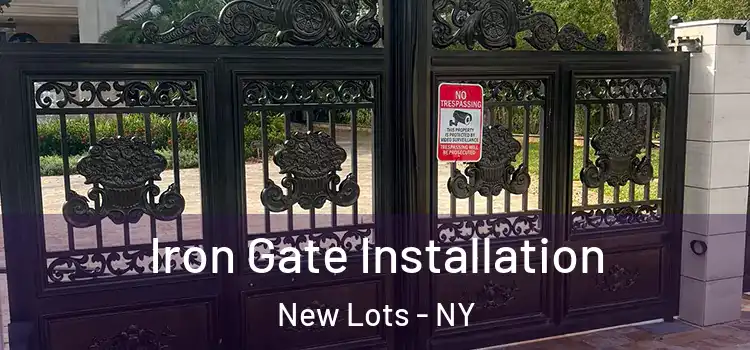 Iron Gate Installation New Lots - NY