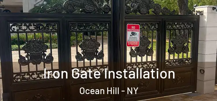 Iron Gate Installation Ocean Hill - NY