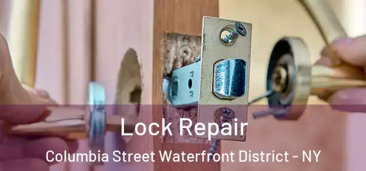 Lock Repair Columbia Street Waterfront District - NY