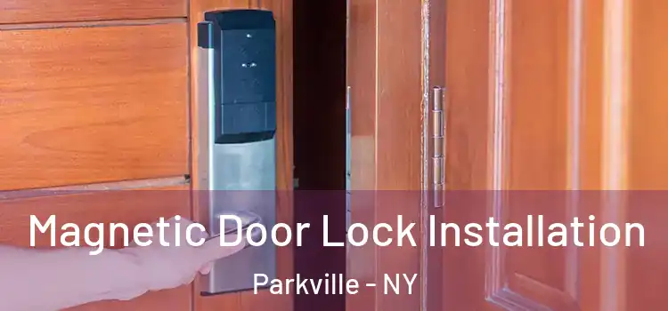  Magnetic Door Lock Installation Parkville - NY