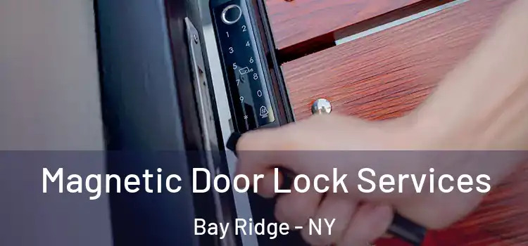 Magnetic Door Lock Services Bay Ridge - NY