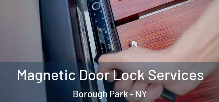  Magnetic Door Lock Services Borough Park - NY