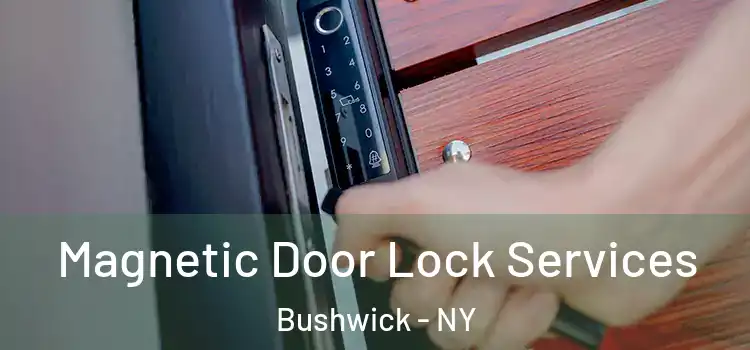 Magnetic Door Lock Services Bushwick - NY